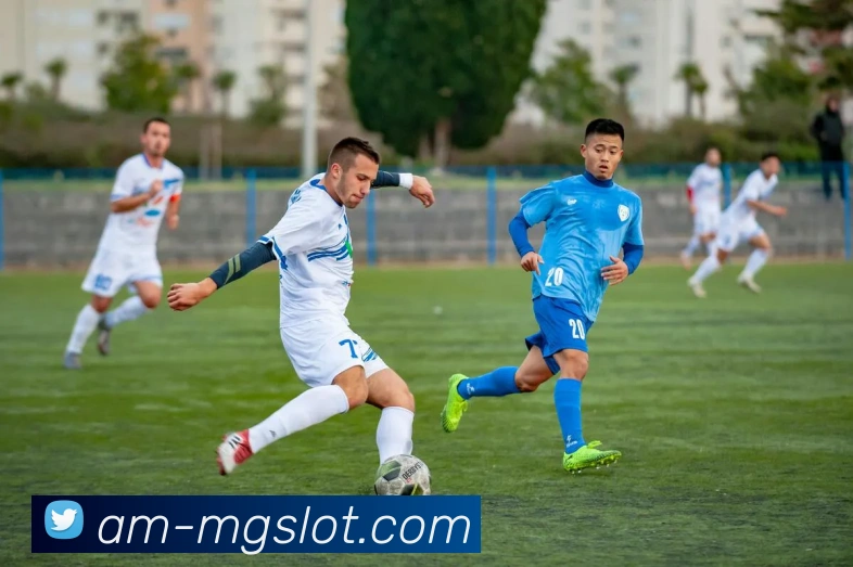 MG电子模拟器官网发展历程